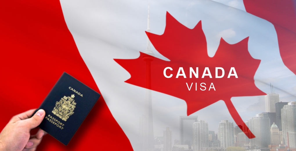 How Can I Get Sponsored To Work In Canada With Free Visa